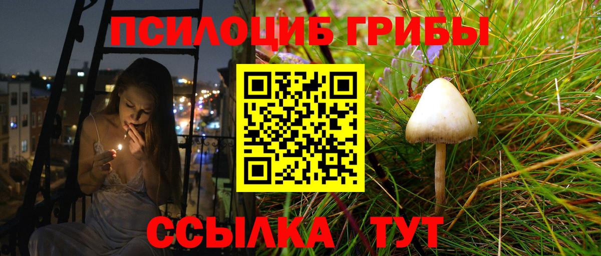 Феодосия  Галлюциногенные грибы Cubensis  Вход с VPN 